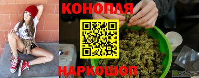 гидропоника Кингисепп